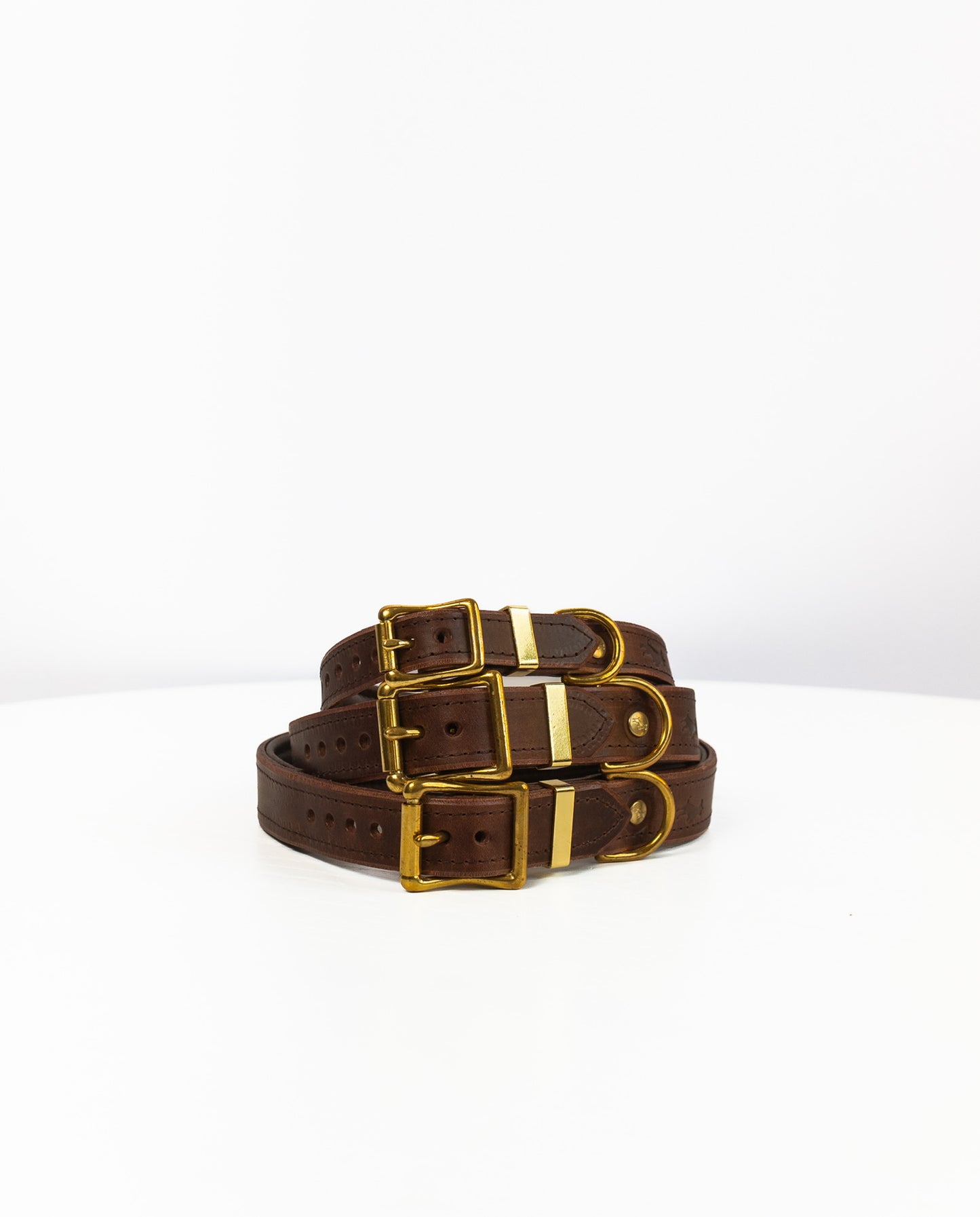 Padded Luxury leather collar- Chocolate