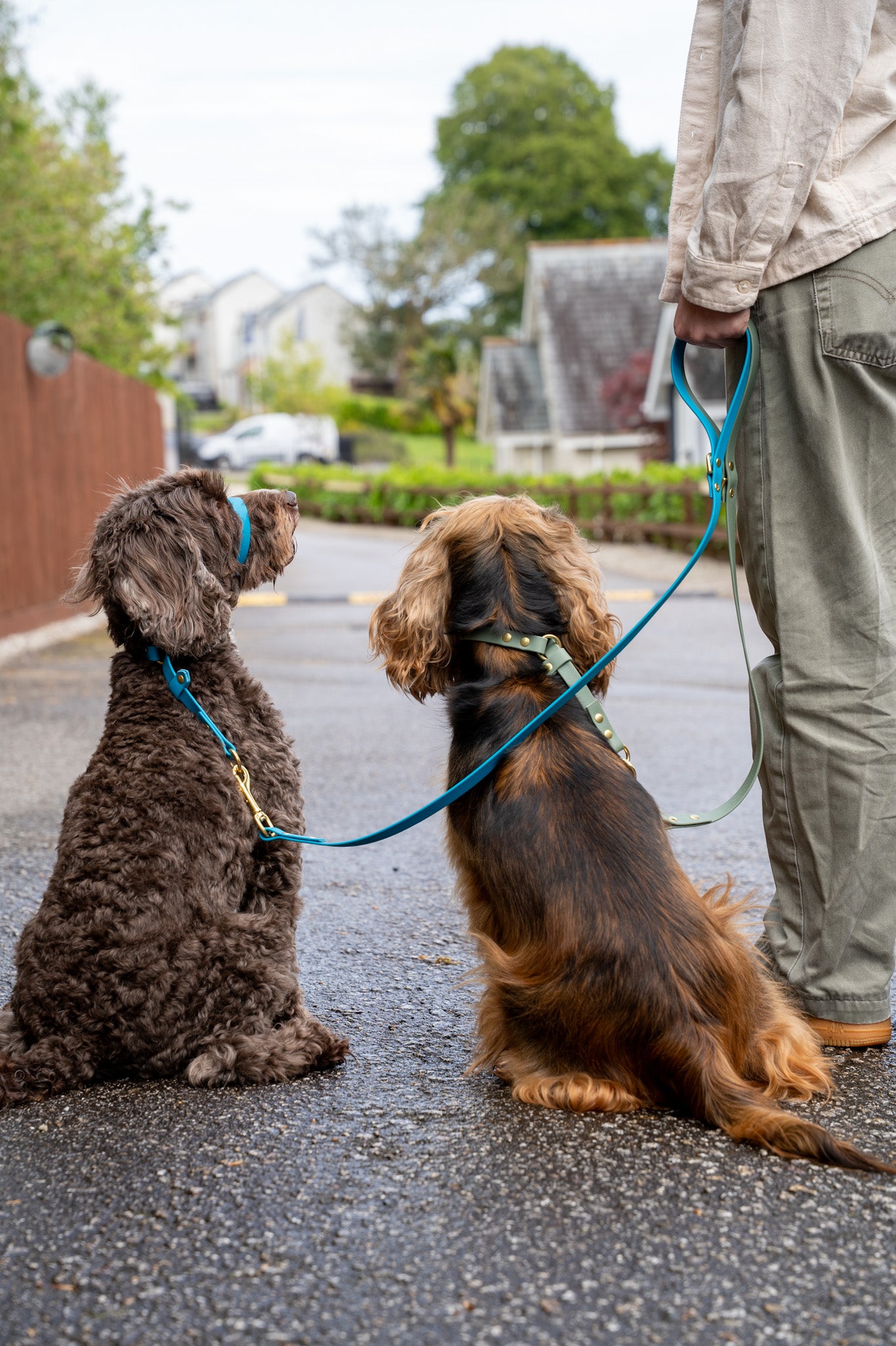 Biothane® All Weather Short leads