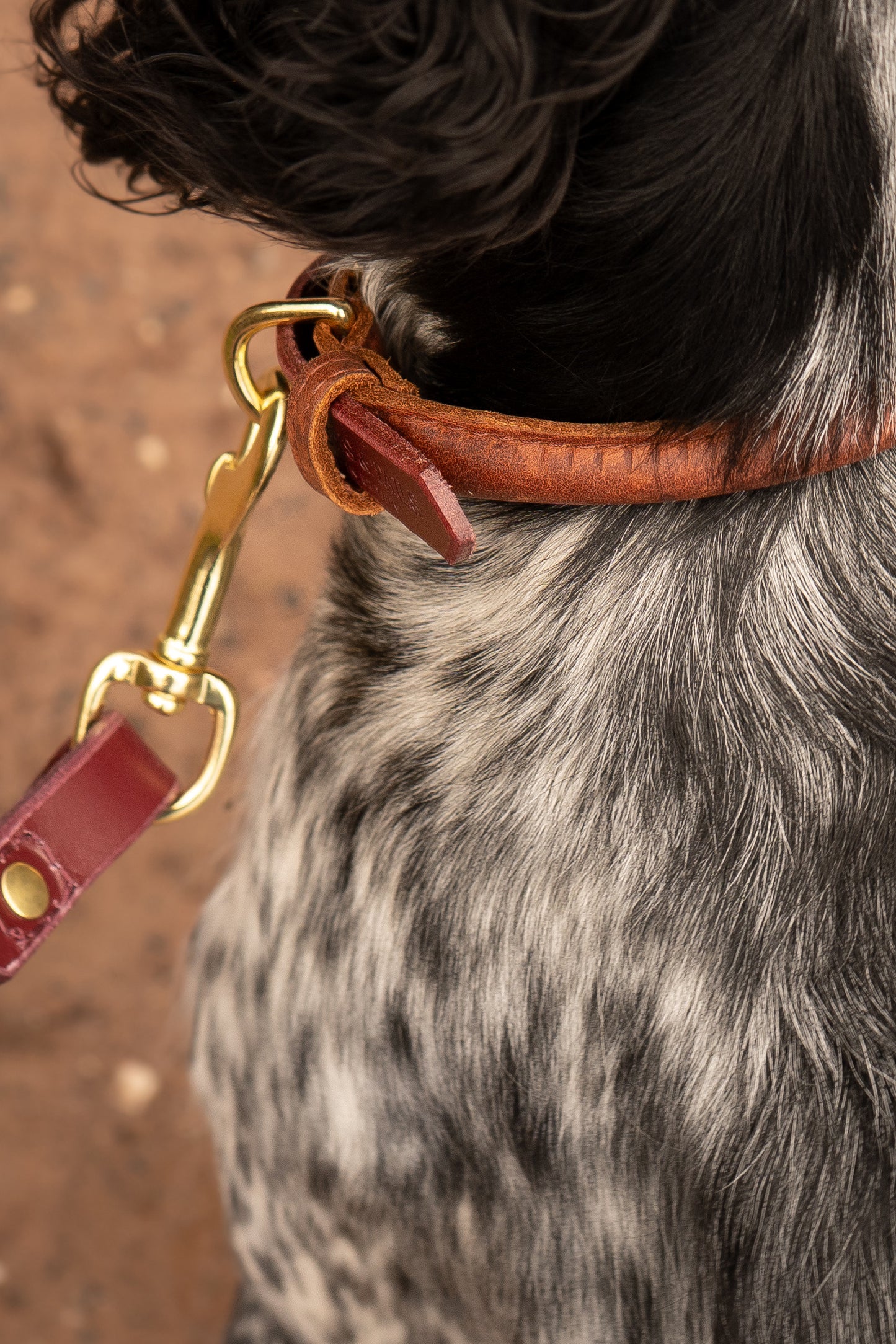 Rolled Leather Collars