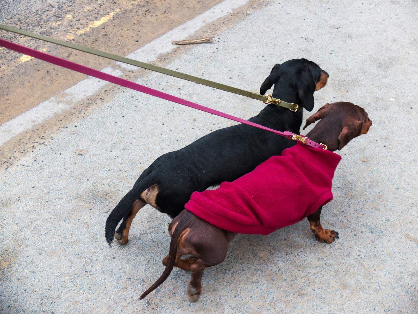 Khaki Biothane® Tiny Tails Collar