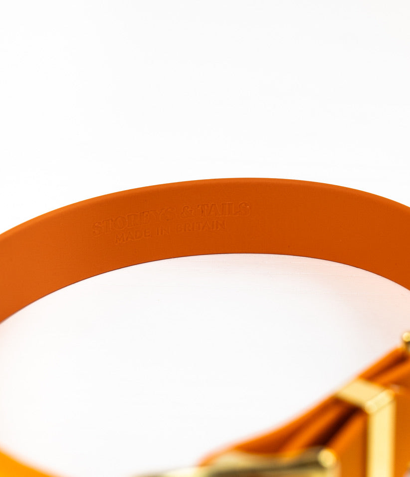 Burnt Orange Biothane® All Weather Collar