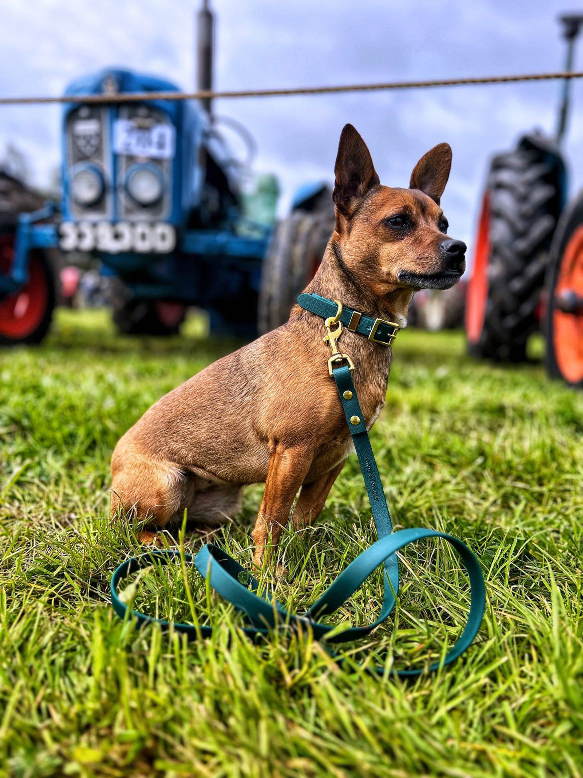 Green Biothane® All Weather Lead