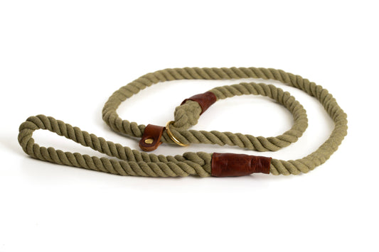 Pistachio Rope Slip Lead