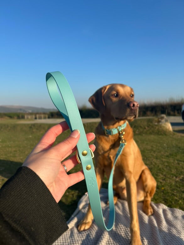 Turquoise BiothaneĀ® All Weather Lead