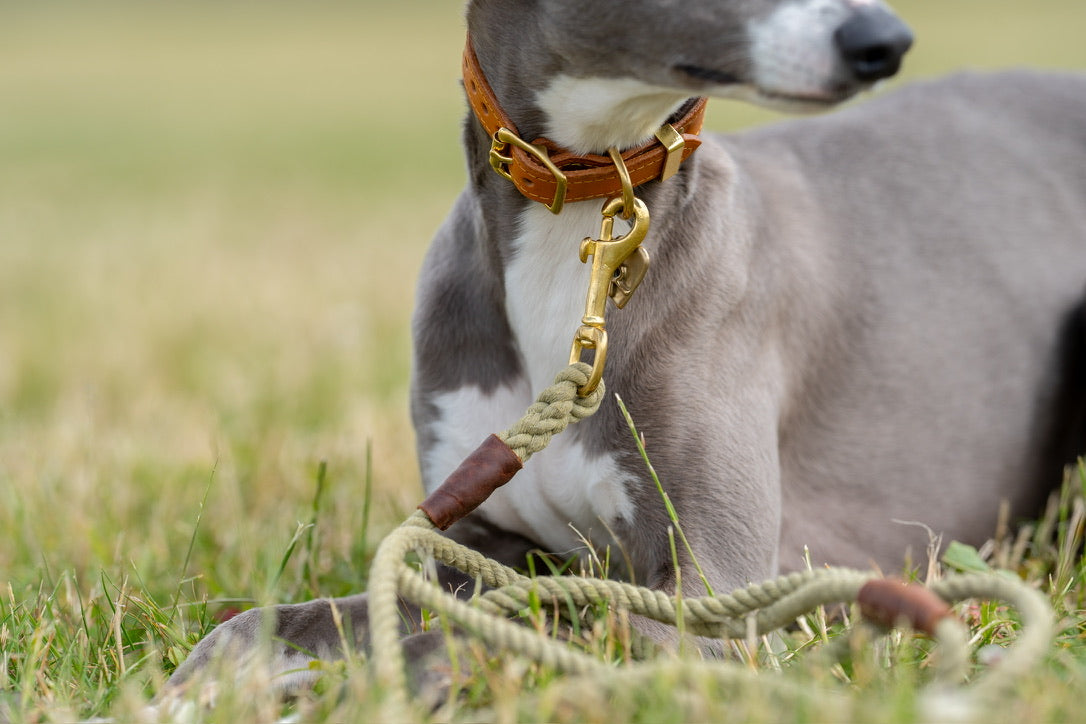 Pistachio Rope Lead