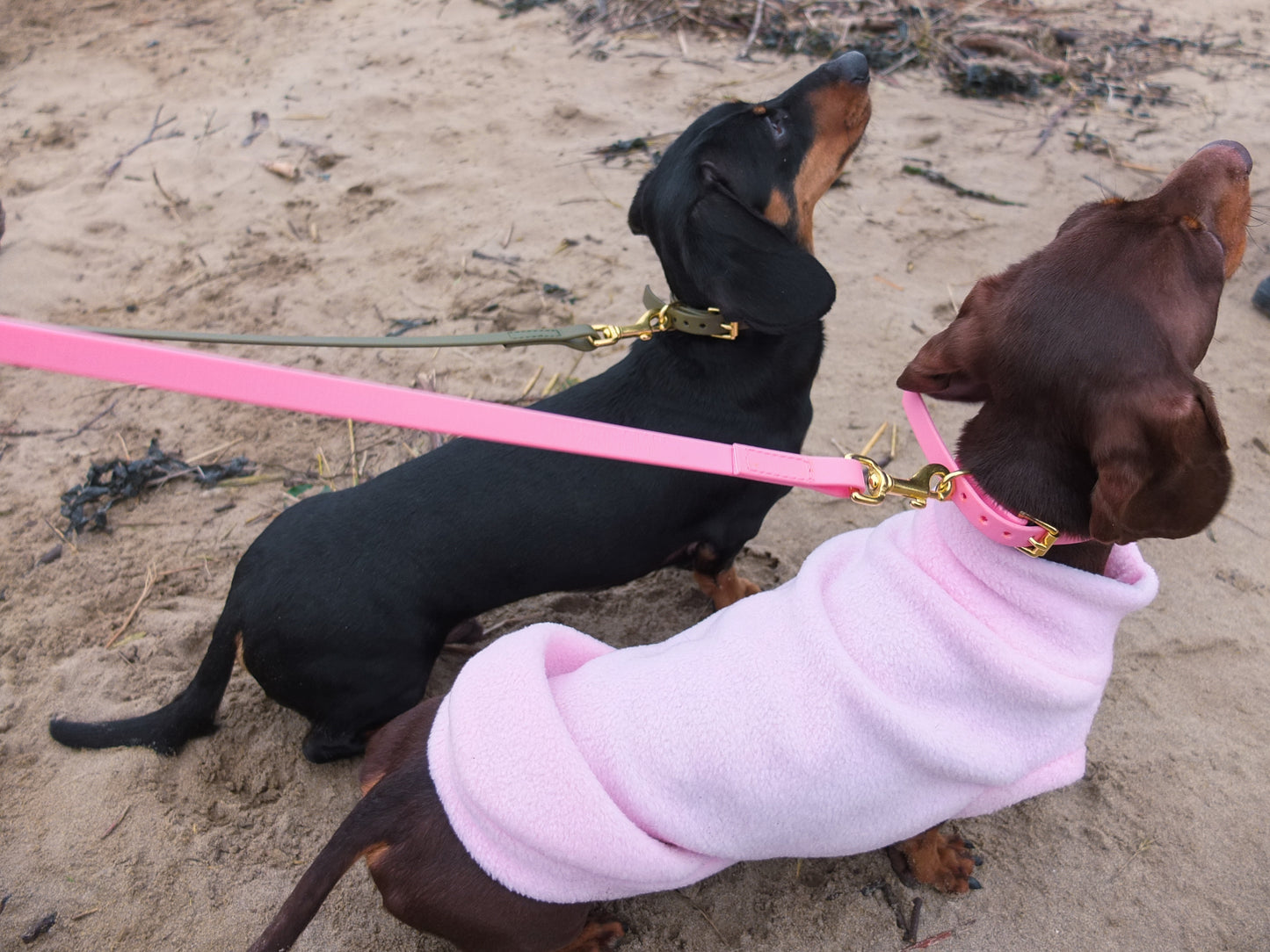 Baby Pink Biothane® Tiny Tails Collar
