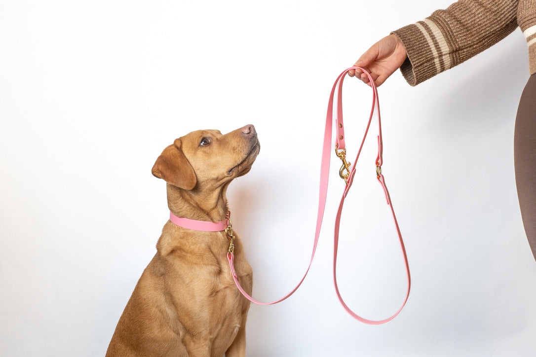 Adjustable all weather Biothane® leads