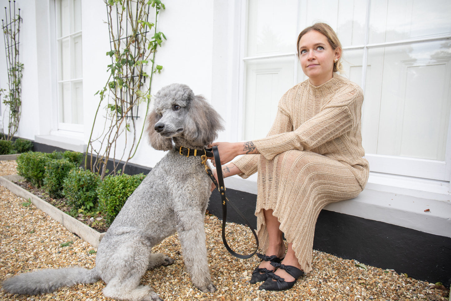 Black padded Luxury leather dog collar