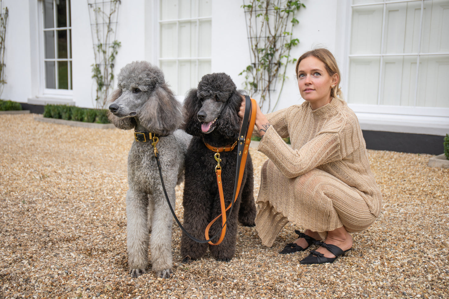 Nacho tan padded Luxury leather dog collar