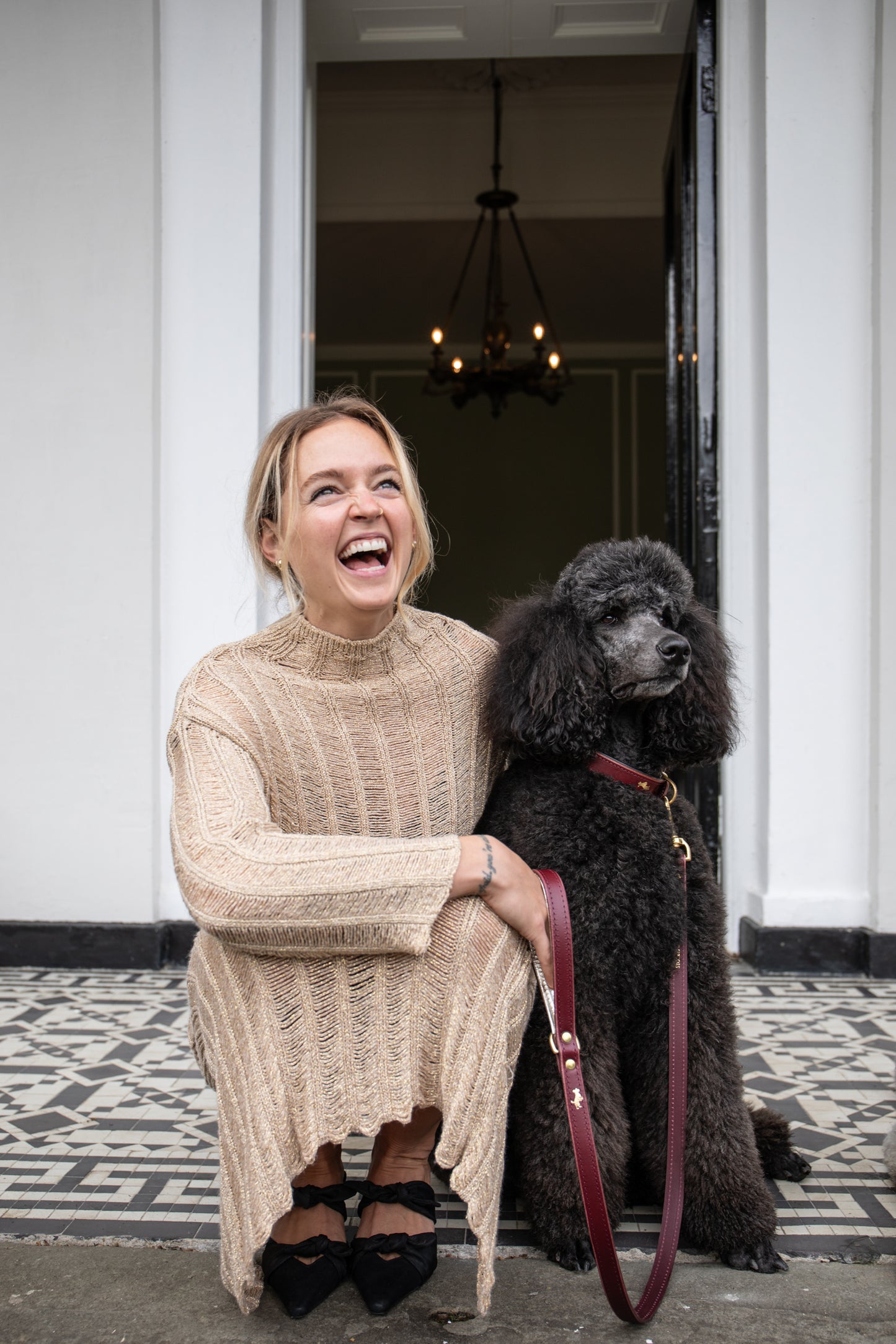 Fig padded Luxury leather dog collar