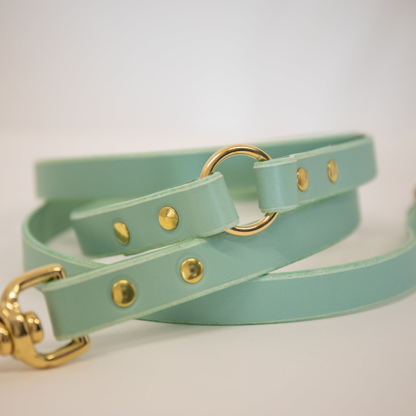 Mint adjustable luxury leather lead