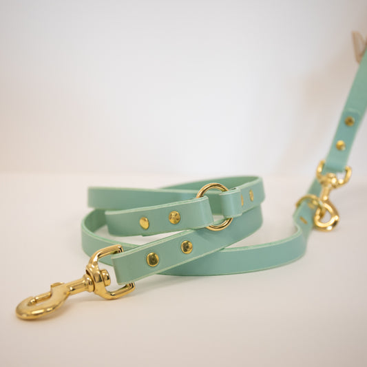 Mint adjustable luxury leather lead