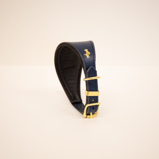 Regal blue padded Luxury leather sight hound collar