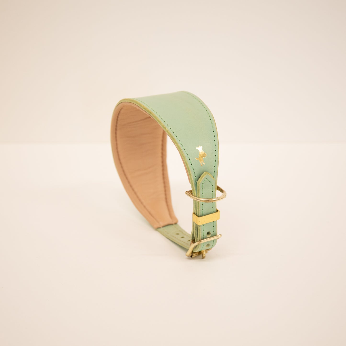 Mint padded Luxury leather sight hound collar