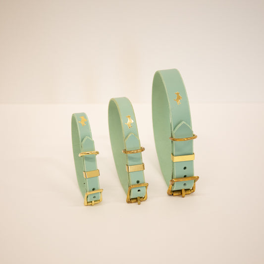 Mint Luxury leather dog collar