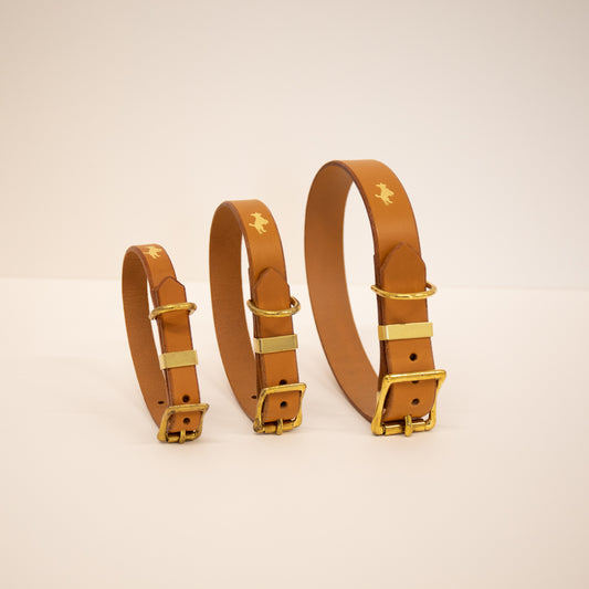 Nacho tan Luxury leather dog collar