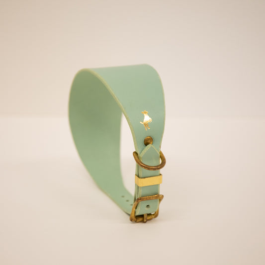 Mint Luxury leather sight hound collar