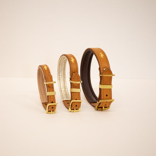 Nacho tan padded Luxury leather dog collar
