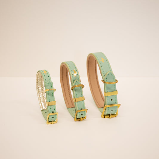 Mint padded Luxury leather dog collar