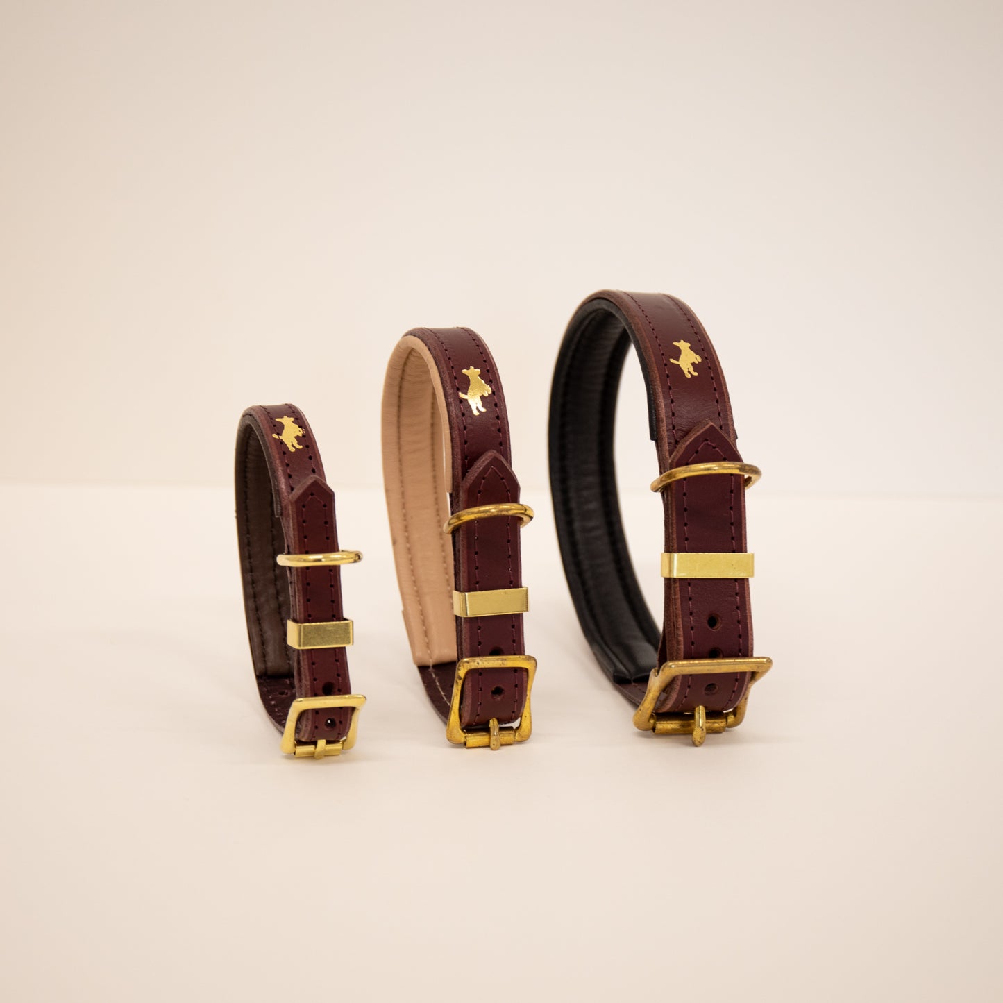 Fig padded Luxury leather dog collar