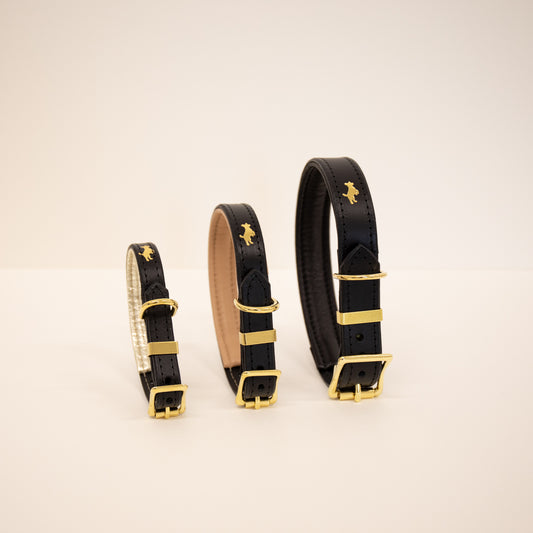 Black padded Luxury leather dog collar