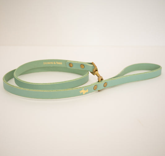 Mint luxury leather lead