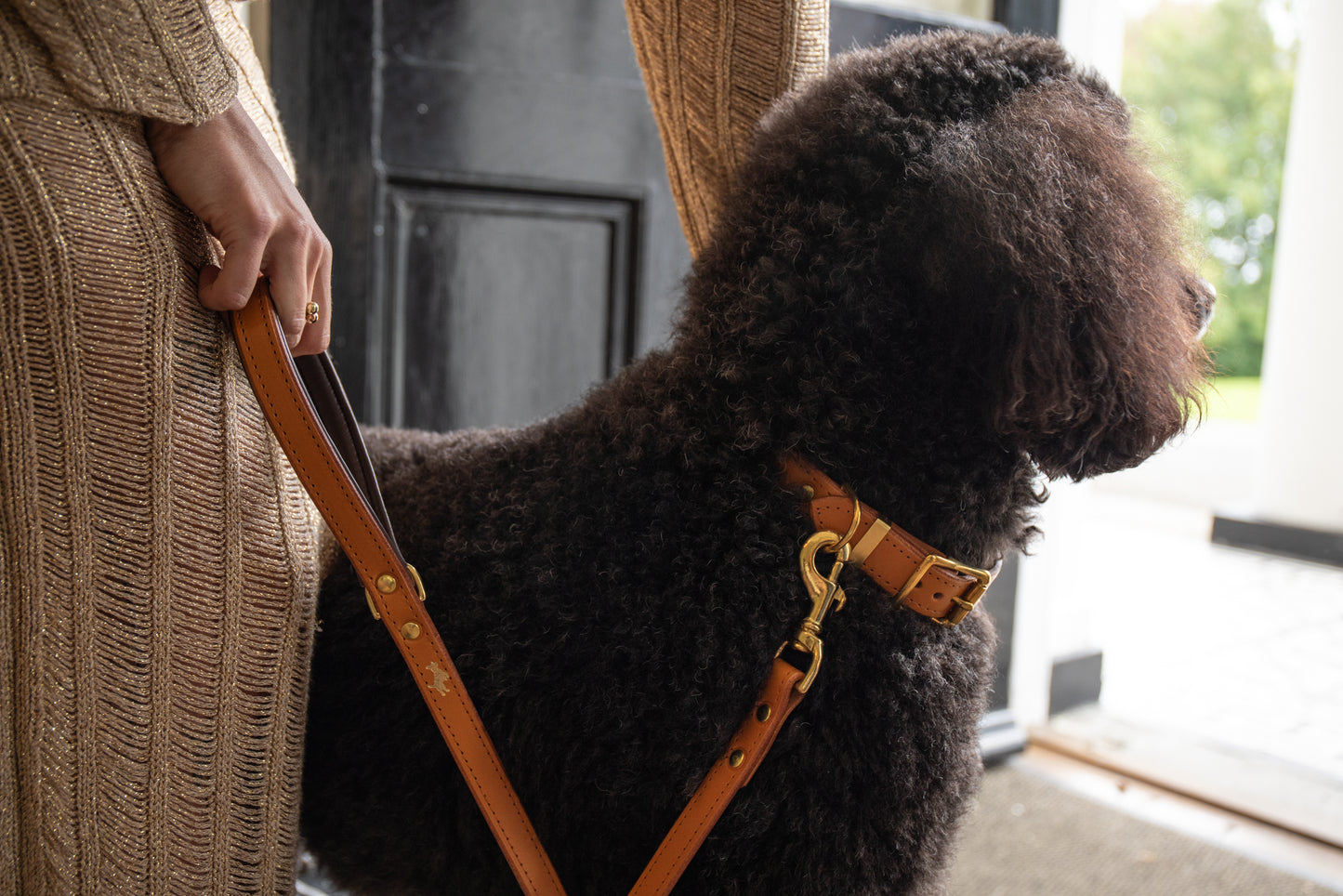 Nacho tan padded Luxury leather dog collar