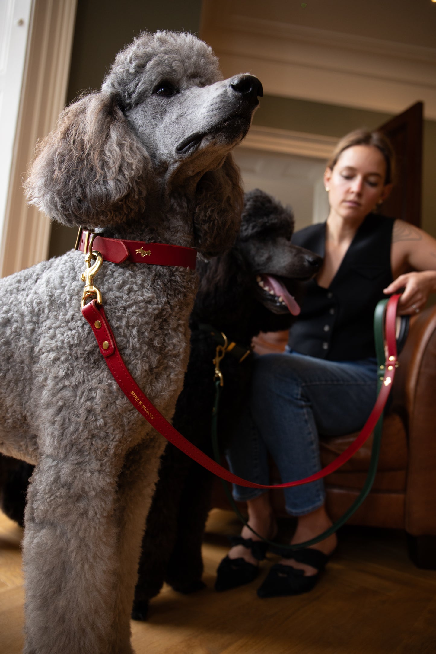 Cranberry padded luxury leather lead