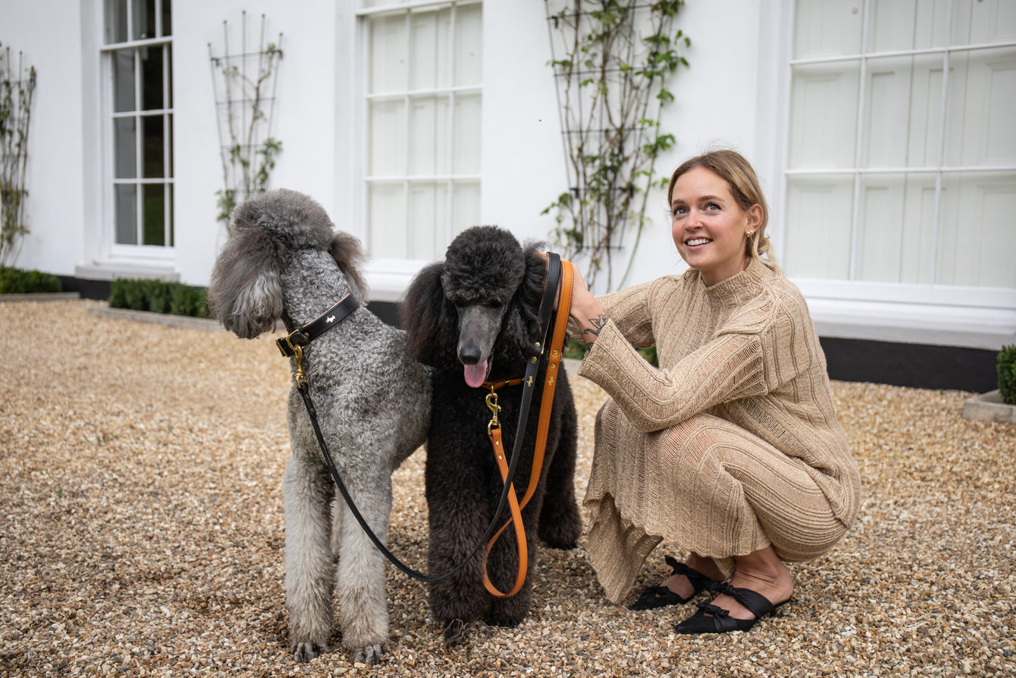Black padded Luxury leather dog collar