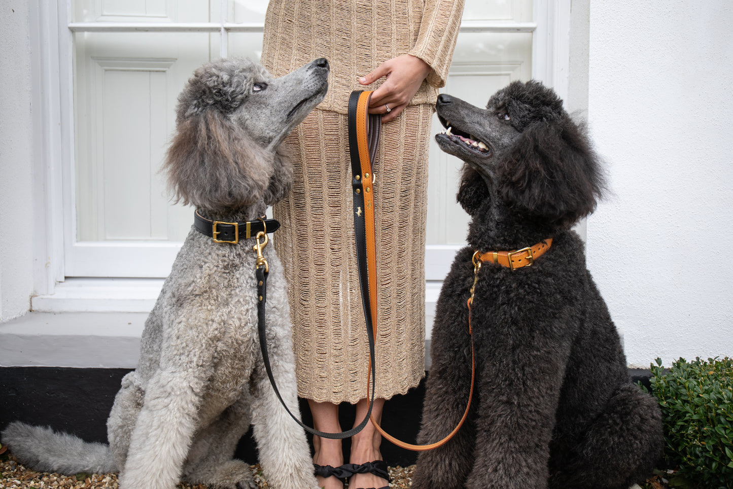 Nacho tan padded luxury leather lead