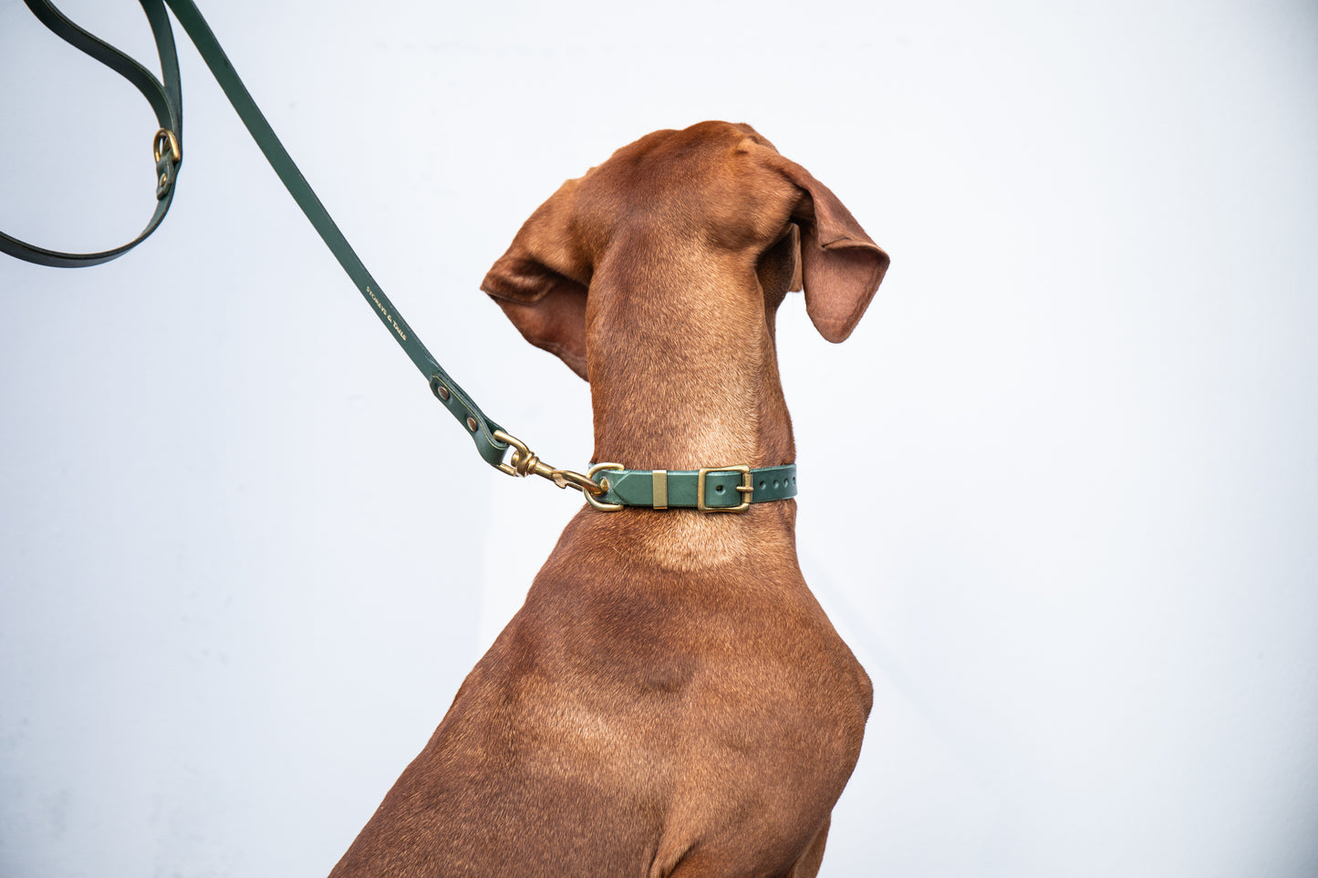 Forest luxury leather lead