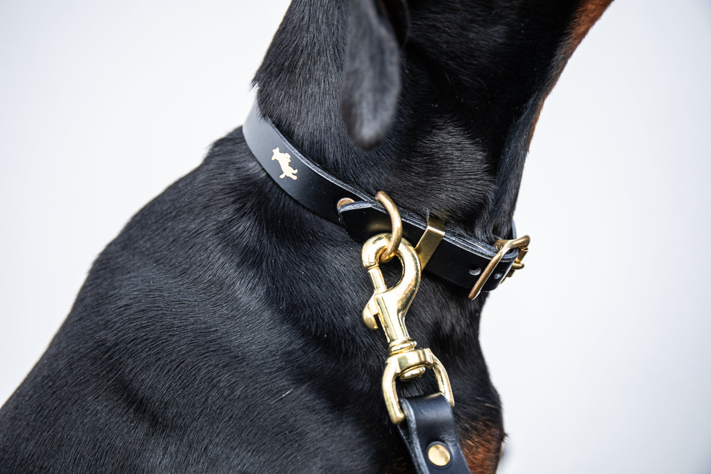 Black Luxury leather dog collar