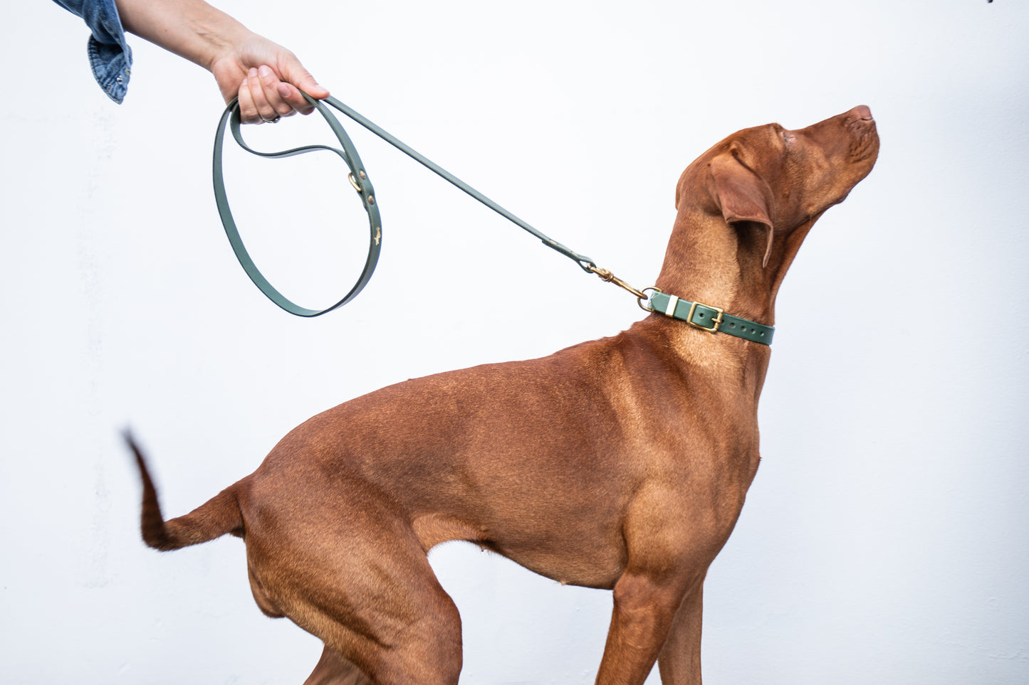 Forest luxury leather lead