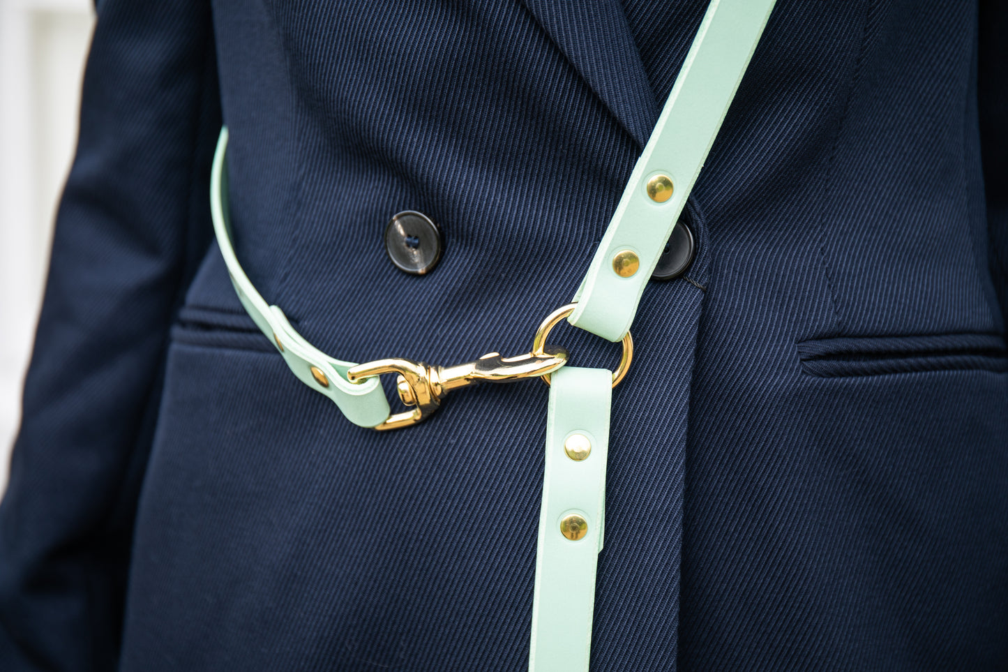 Mint adjustable luxury leather lead