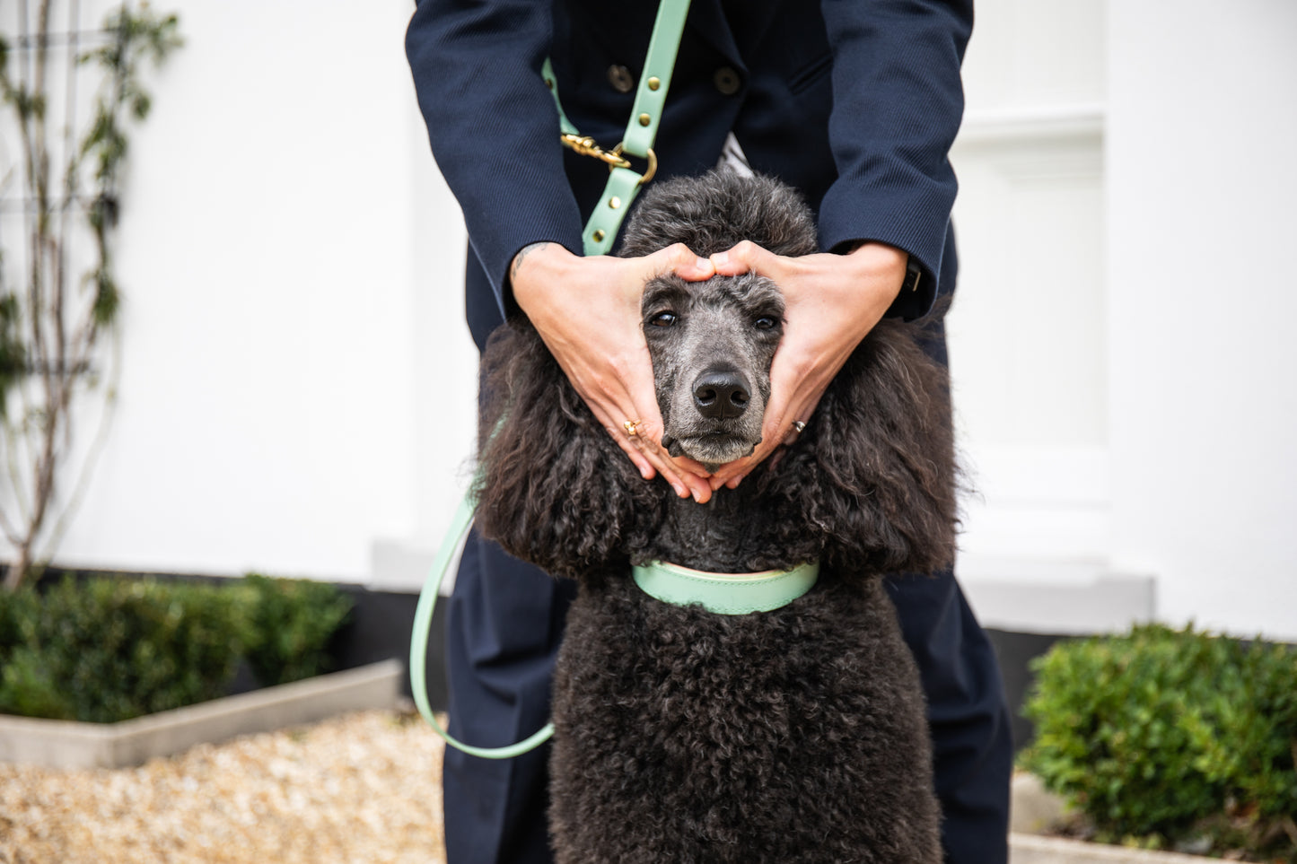 Mint adjustable luxury leather lead