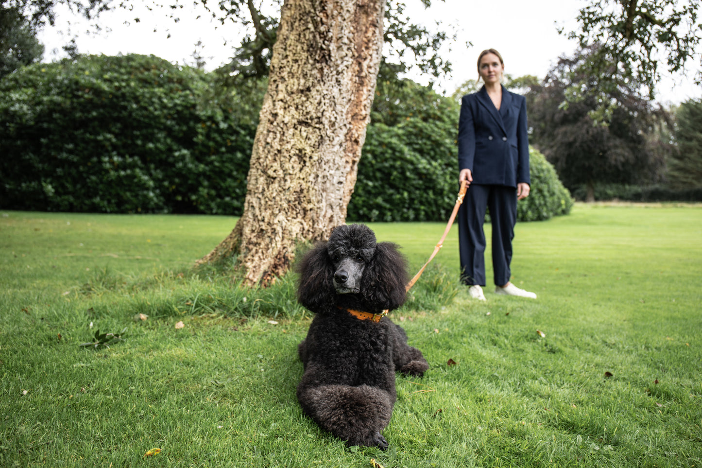 Nacho tan adjustable luxury leather lead