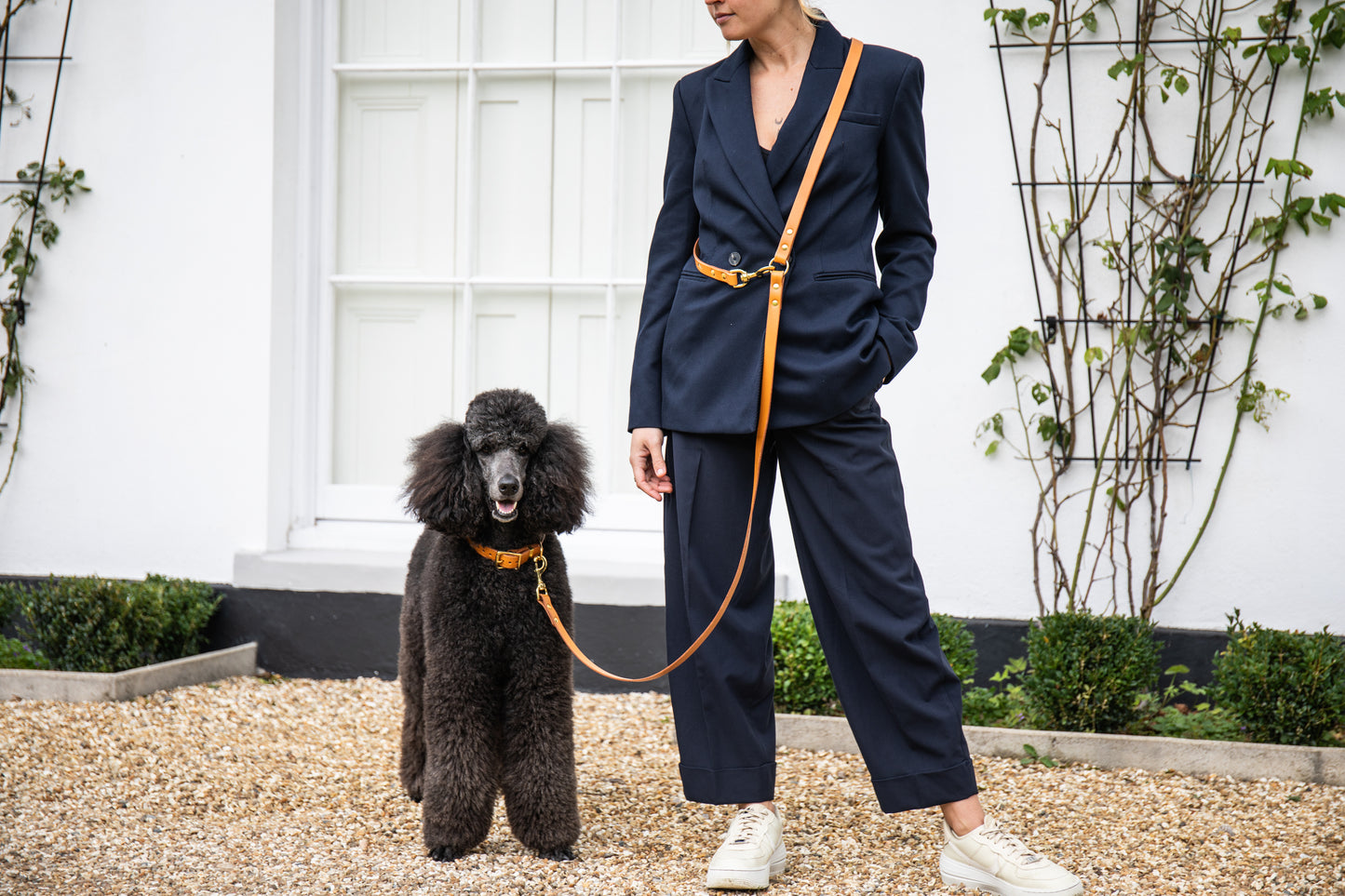 Nacho tan adjustable luxury leather lead