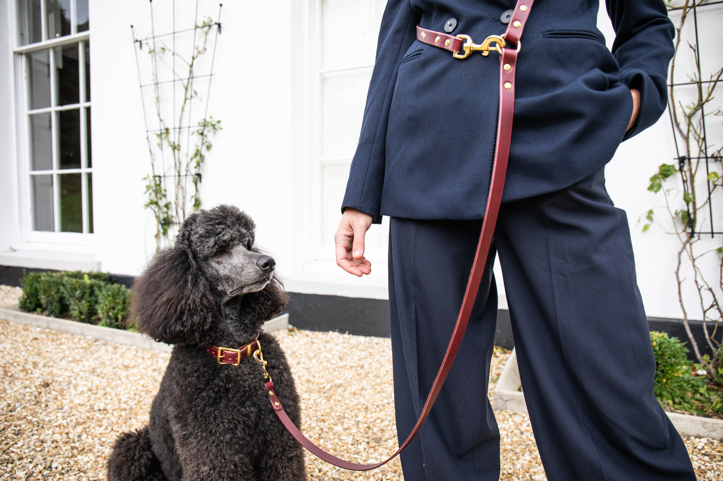 Fig adjustable luxury leather lead