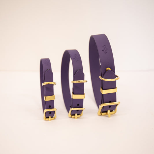 Violet Biothane® All Weather Collar