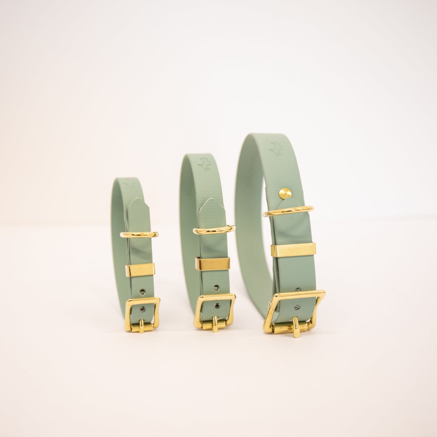 Sage Biothane® All Weather Collar