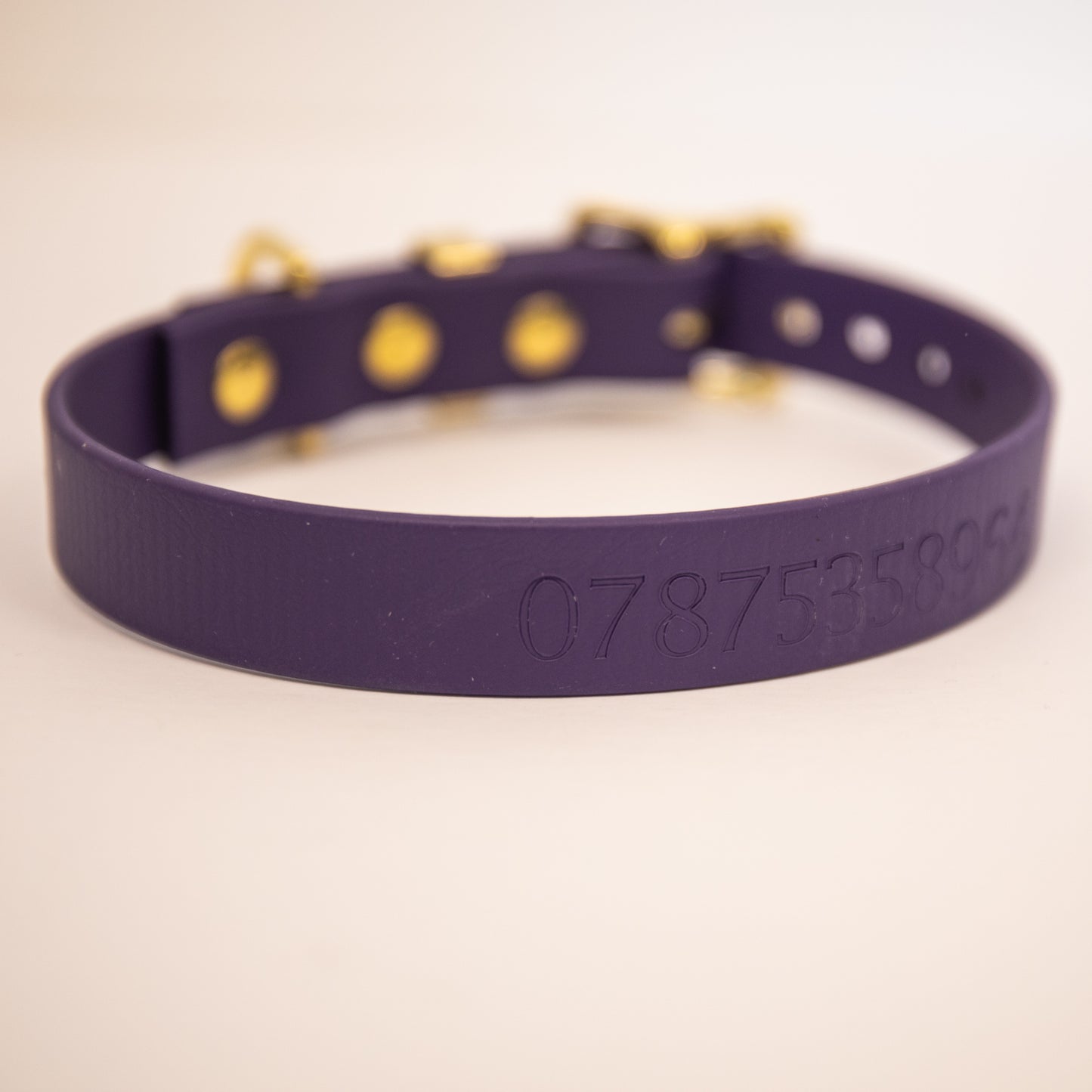Violet Biothane® All Weather Collar