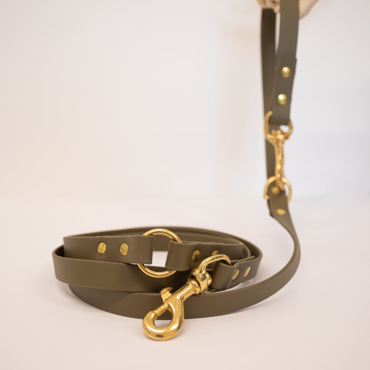 Adjustable all weather Biothane® leads