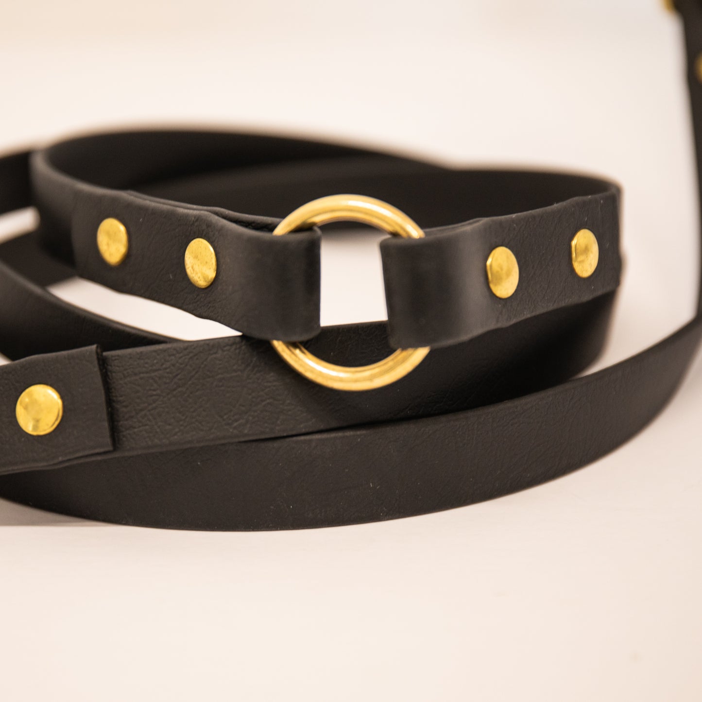 Adjustable all weather Biothane® leads