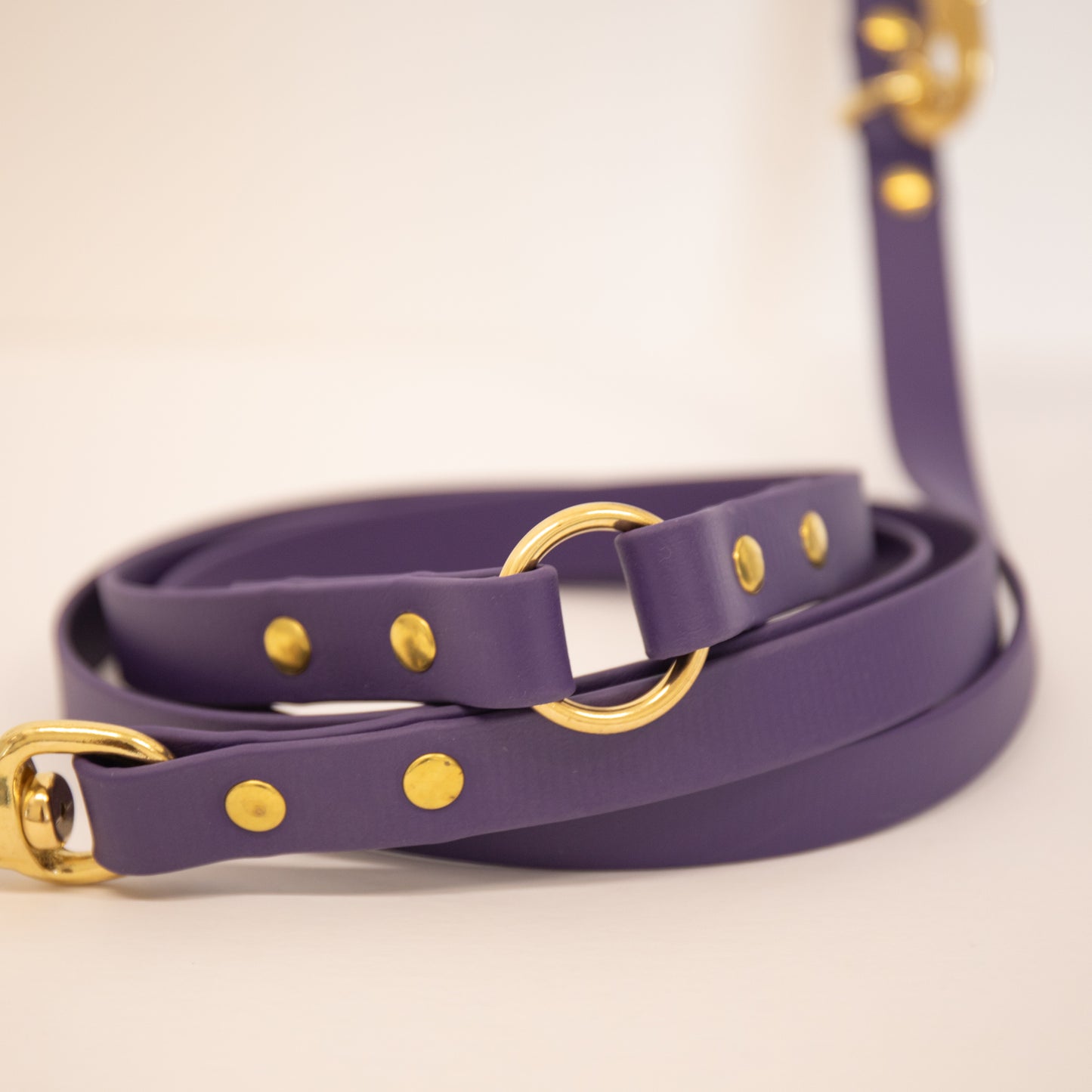 Adjustable all weather Biothane® leads