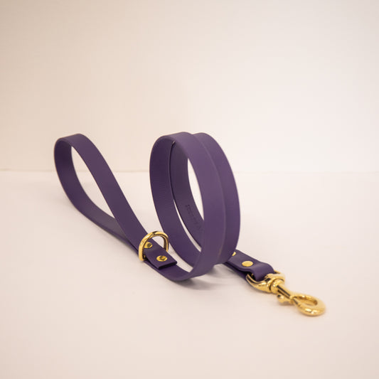 Violet Biothane® All Weather Lead