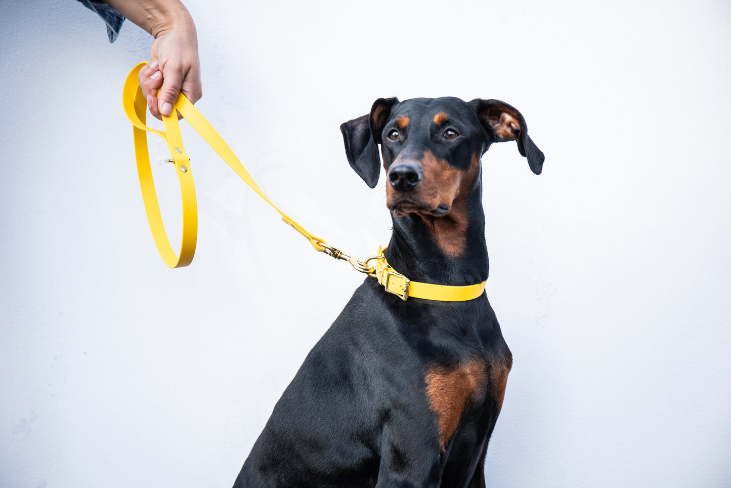 Yellow Biothane® All Weather Lead