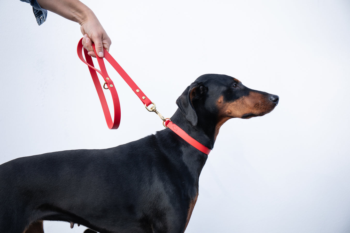 Red Biothane® All Weather Collar