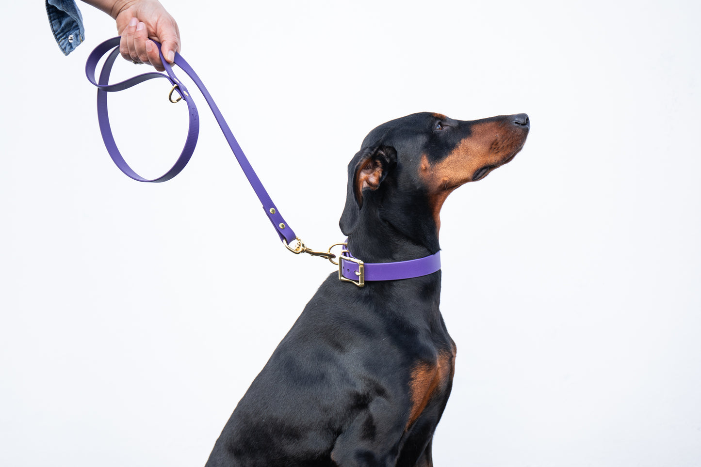 Violet Biothane® All Weather Lead