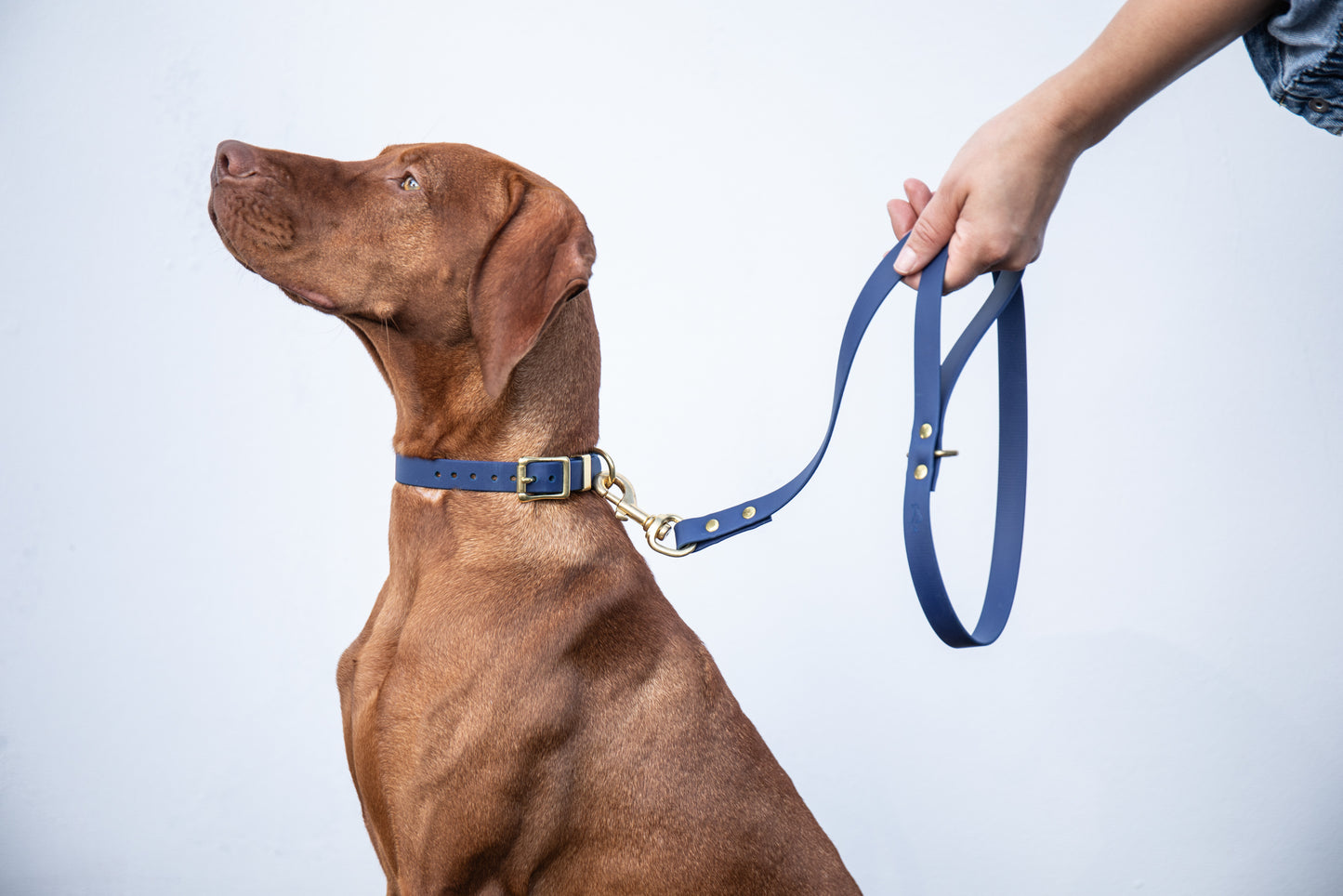 Navy Biothane® All Weather Lead