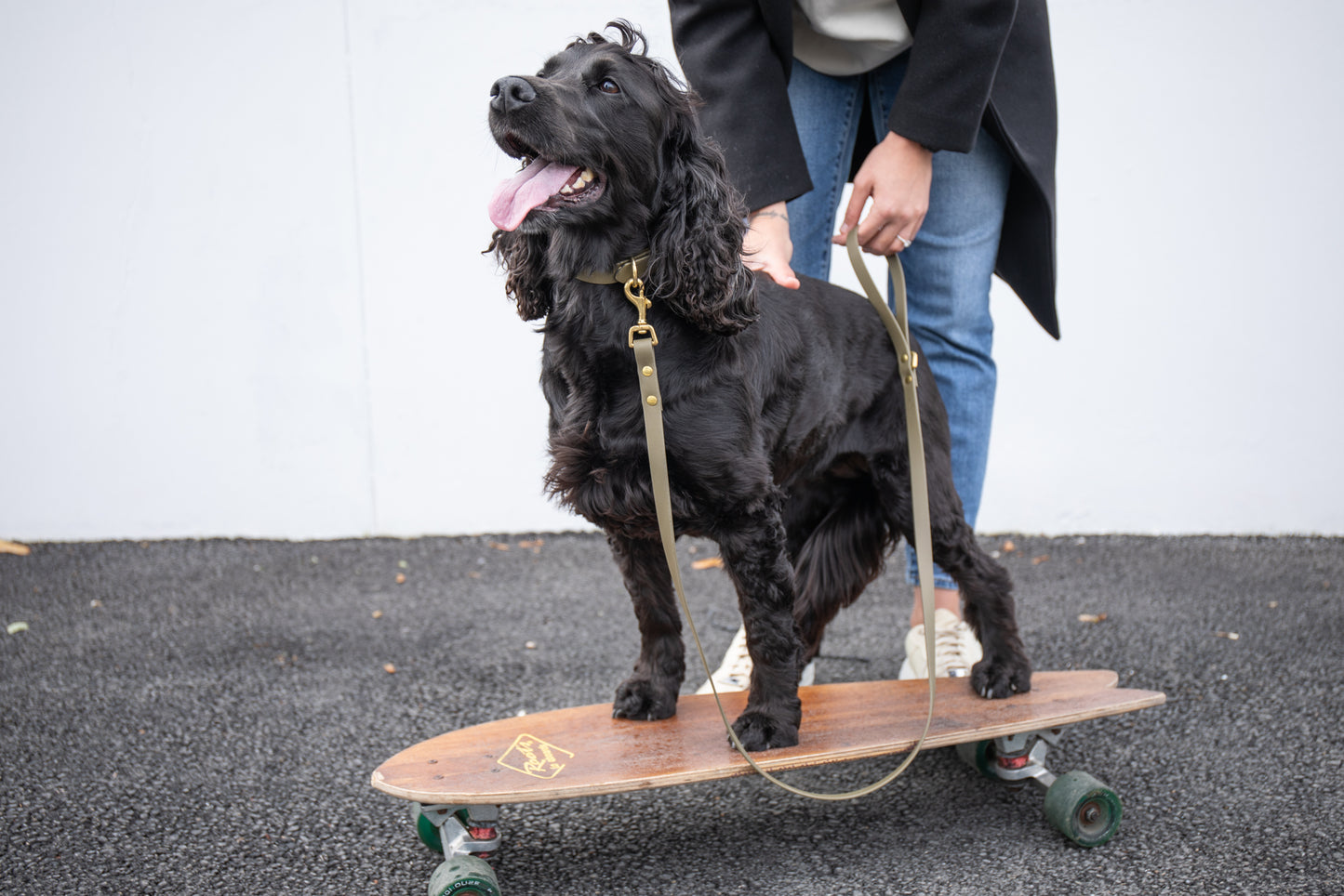 Khaki Biothane® All Weather Lead